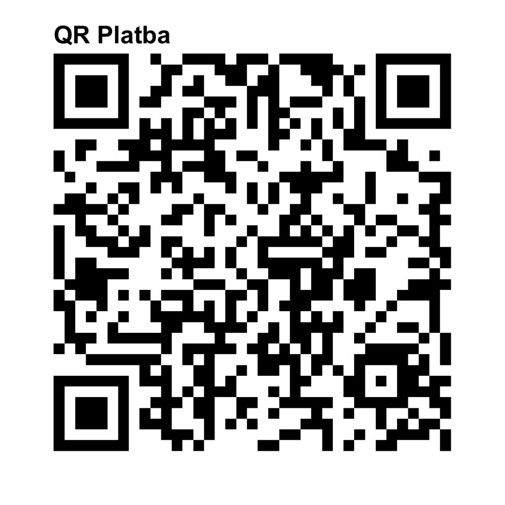 QR bank connection